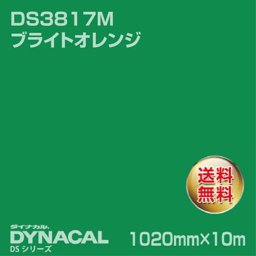 ダイナカル サインDSシリーズ DS5843M ファンタジーグリーン 10m トーヨーケム の商品画像