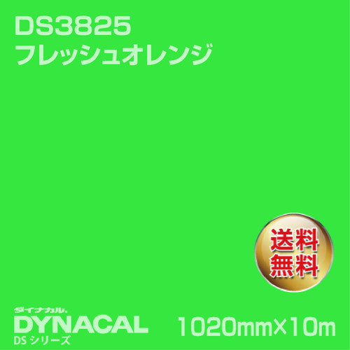 ダイナカル サインDSシリーズ DS5856 ブライトグリーン 10m トーヨーケム の商品画像