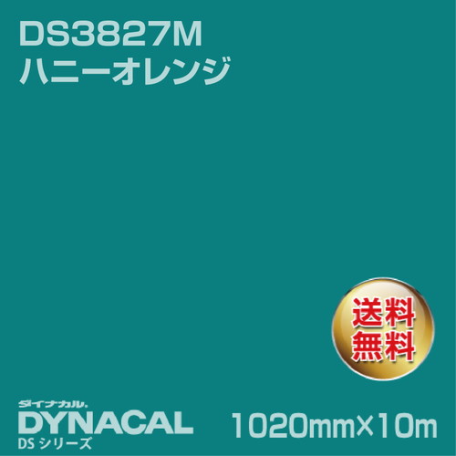 ダイナカル サインDSシリーズ DS5860 アーバングリーン 10m トーヨーケム の商品画像