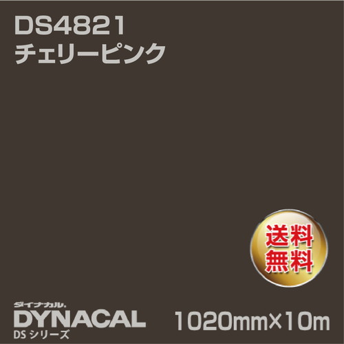 ダイナカル サインDSシリーズ DS6823M カカオブラウン 10m トーヨーケム の商品画像