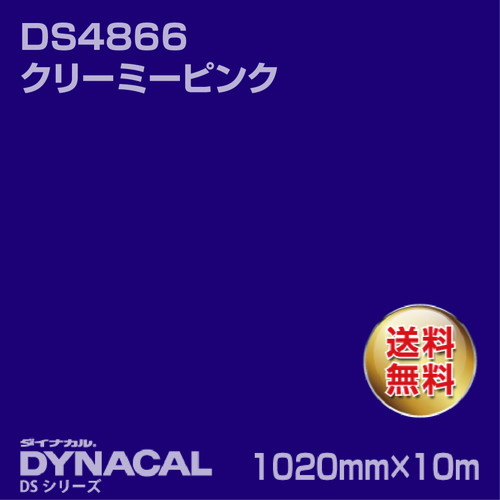 ダイナカル サインDSシリーズ DS7801 ブルーベリーバイオ 10m トーヨーケム の商品画像