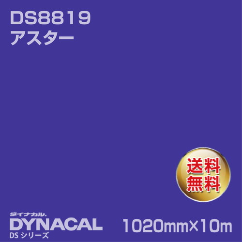 ダイナカル サインDSシリーズ DS8819 アスター 10m トーヨーケム の商品画像