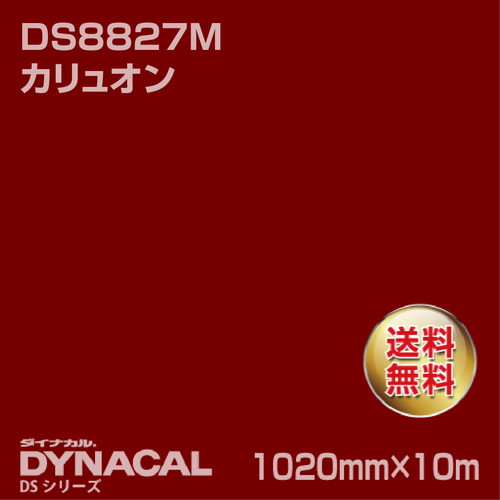 ダイナカル サインDSシリーズ DS8827M カリュオン 10m トーヨーケム の商品画像