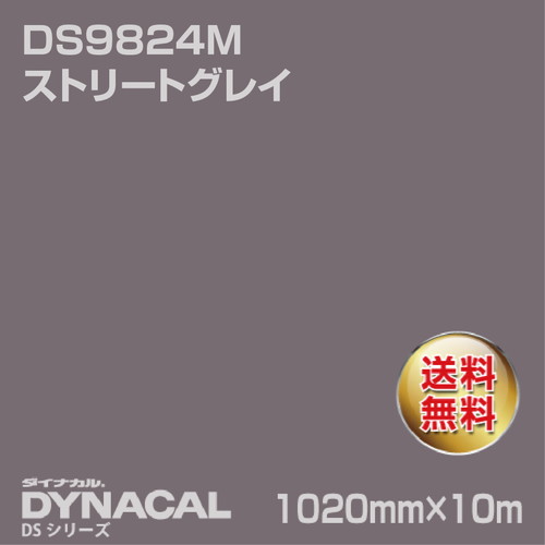 ダイナカル サインDSシリーズ DS9824M ストリートグレイ 10m トーヨーケム の商品画像