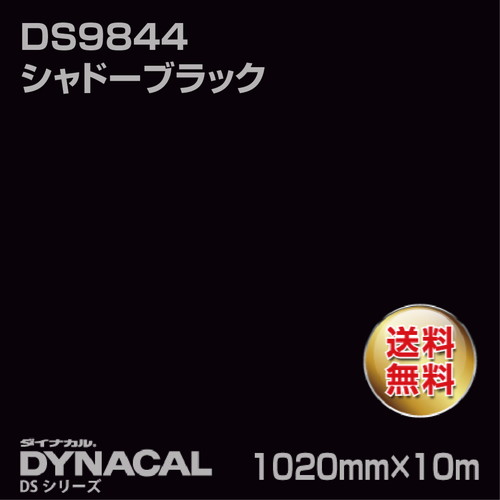 ダイナカル サインDSシリーズ DS9844 シャドーブラック 10m トーヨーケム の商品画像