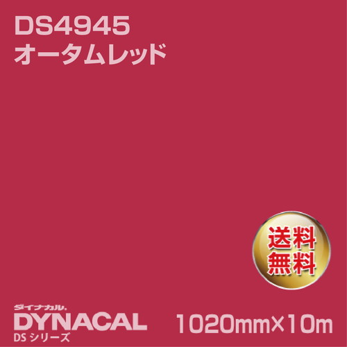 ダイナカル サインDSシリーズ DS4945 オータムレッド 10m トーヨーケム の商品画像