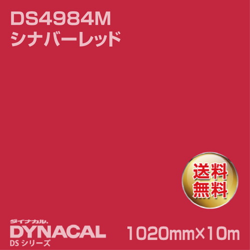 ダイナカル サインDSシリーズ DS4984M シナバーレッド 10m トーヨーケム の商品画像