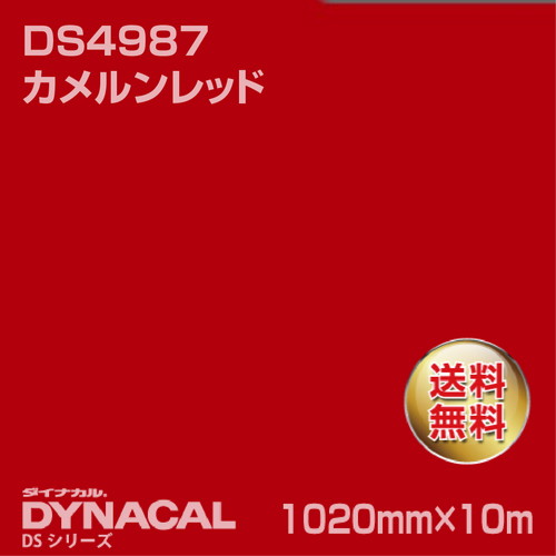 ダイナカル サインDSシリーズ DS4987 カメルンレッド 10m トーヨーケム の商品画像