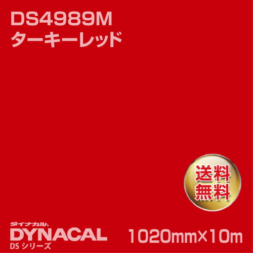 ダイナカル サインDSシリーズ DS4989M ターキーレッド 10m トーヨーケム の商品画像