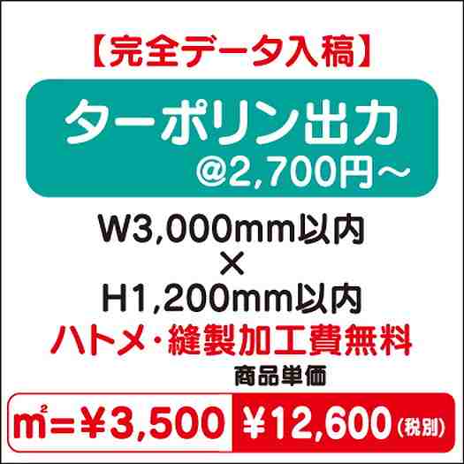 ターポリン出力ハトメ・縫製加工費無料W3000×H1200なら看板材料.comの商品画像