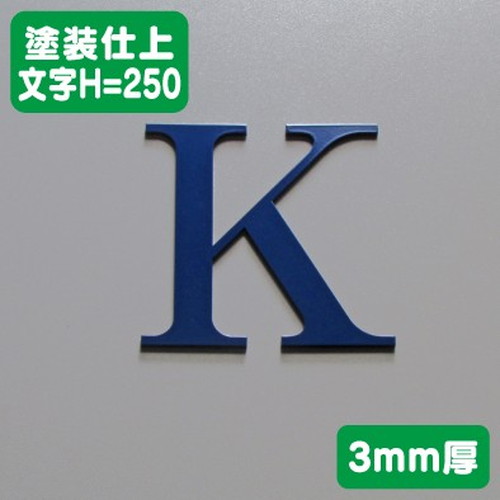 ステンレス切文字塗装仕上げ3mm厚文字H=250なら看板材料.comの商品画像