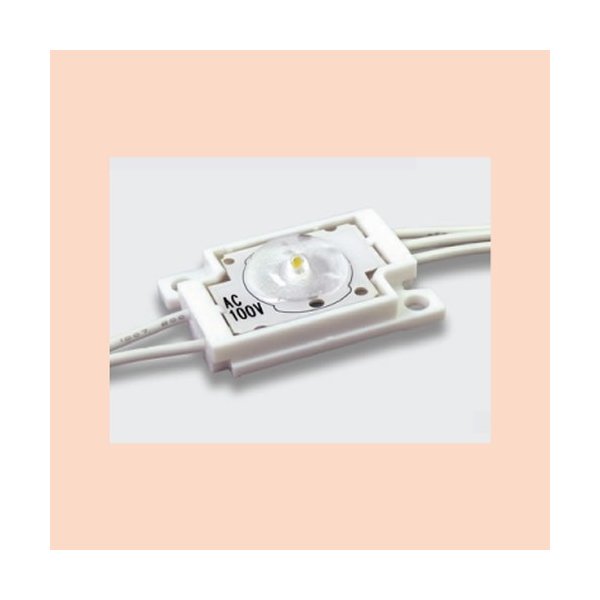 ファーストシステム，F-TM1J-100-8D，TAIKOO-mini100，タイコーミニ100，昼光色，※AC100V仕様