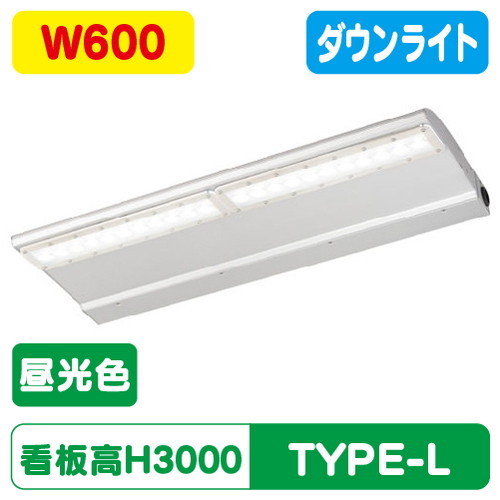 岩崎電気，EBL20206D/DSAN9，LED投光器，レディオック，カトラス，type-L，600L，ダウンタイプ，昼光色