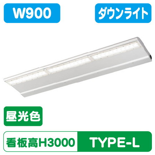 岩崎電気，EBL20209D/DSAN9，LED投光器，レディオック，カトラス，type-L，900L，ダウンタイプ，昼光色