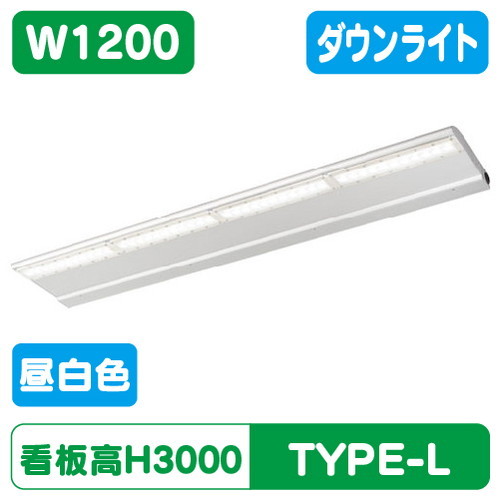 岩崎電気，EBL20212D/NSAN9，LED投光器，レディオック，カトラス，type-L，1200L，ダウンタイプ，昼白色