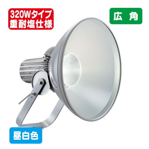 岩崎電気 E30446M/NSAN2 LED投光器 レディオック フラッド スポラート 310Wタイプ (メタルハライドランプ1000W相当) 中角 重耐塩仕様