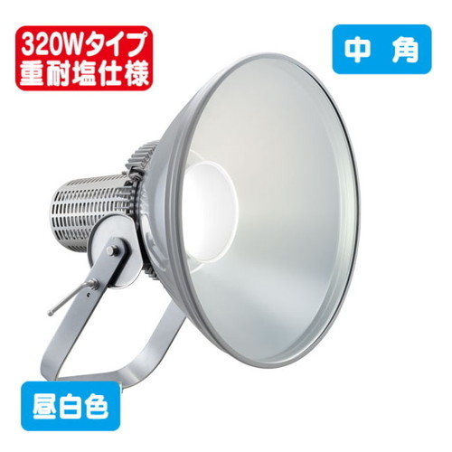 岩崎電気 E30445W/NSAN2 LED投光器 レディオック フラッド スポラート 310Wタイプ (メタルハライドランプ1000W相当) 広角 耐塩仕様