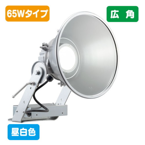岩崎電気 E30441W/NSAN9 LED投光器 レディオック フラッド スポラート 65Wタイプ (水銀ランプ250W相当) 広角 昼白色
