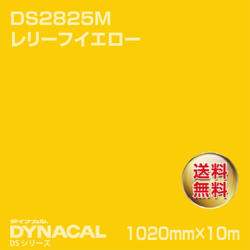 ダイナカル サインDSシリーズ DS2825M レリーフイエロー 10m トーヨーケム の商品画像