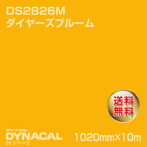 ダイナカル サインDSシリーズ DS2826M ダイヤーズブルーム 10m トーヨーケム の商品画像