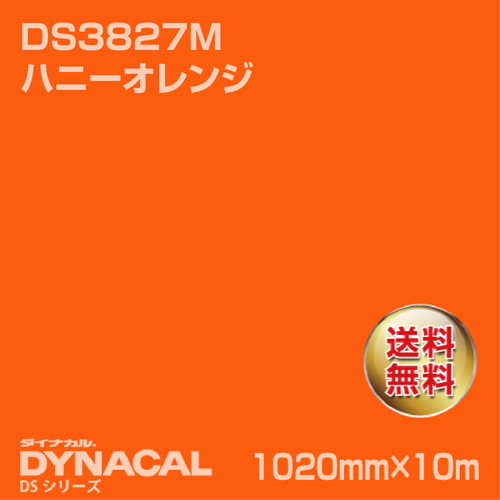 ダイナカル サインDSシリーズ DS3827M ハニーオレンジ 10m トーヨーケム の商品画像