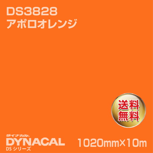 ダイナカルサインDSシリーズ DS3828 (アポロオレンジ)10m トーヨーケム