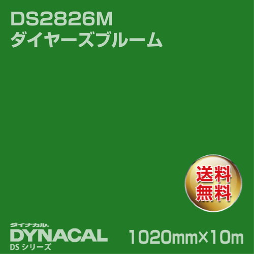 ダイナカル サインDSシリーズ DS5832 グリーン 10m トーヨーケム の商品画像