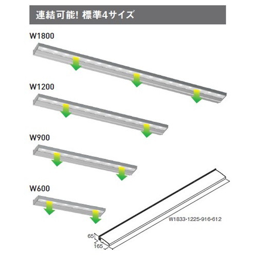 タテヤマアドバンス アドビューN2 W1200 R35タイプ(N) 昼白色(5000K