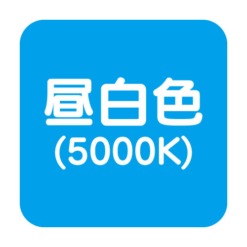 岩崎電気 LED投光器 レディオック カトラス補助画像