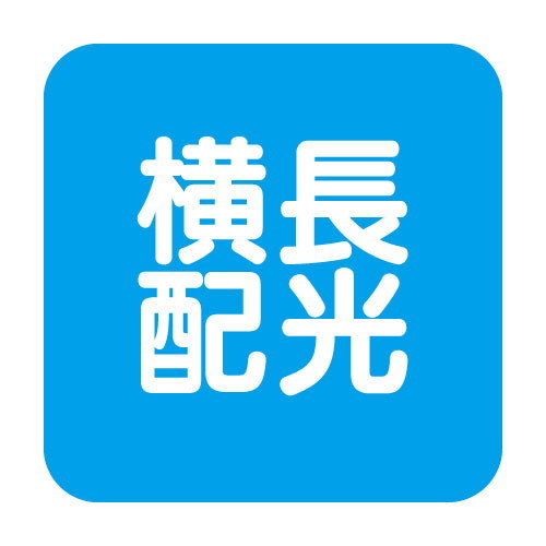 岩崎電気高天井用照明レディオックデポライナーサブ画像