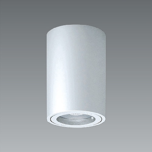 遠藤照明 アウトドアライト 軒下用シーリングダウンライト 広角