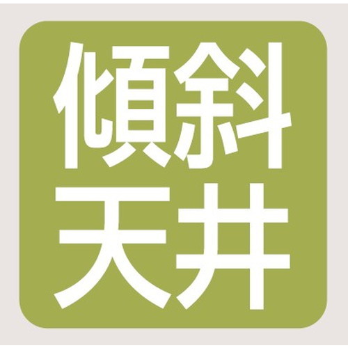 岩崎電気高天井用照明レディオックハイベイガンシンプルマサブ画像
