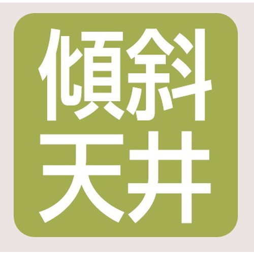 レディオックハイベイシータ 傾斜天井