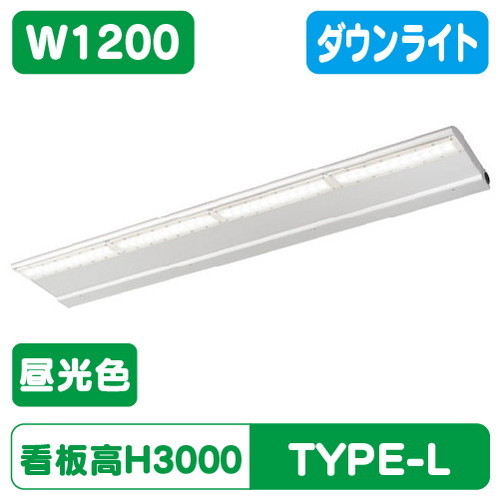 岩崎電気，EBL20212D/DSAN9，LED投光器，レディオック，カトラス，type-L，1200L，ダウンタイプ，昼光色