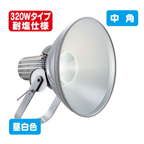 岩崎電気 E30445M/NSAN2 LED投光器 レディオック フラッド スポラート 310Wタイプ (メタルハライドランプ1000W相当) 中角 耐塩仕様