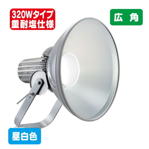 岩崎電気 E30446W/NSAN2 LED投光器 レディオック フラッド スポラート 310Wタイプ (メタルハライドランプ1000W相当) 広角 重耐塩仕様