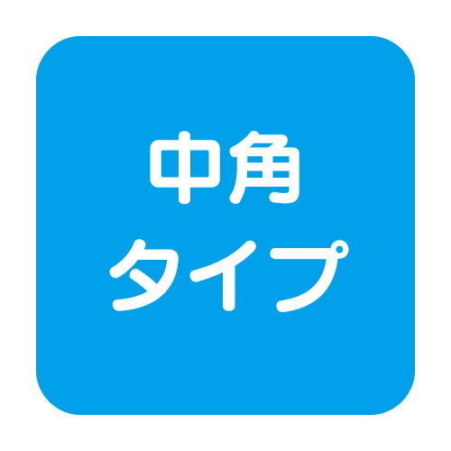岩崎電気高天井用照明レディオックミューズサブ画像