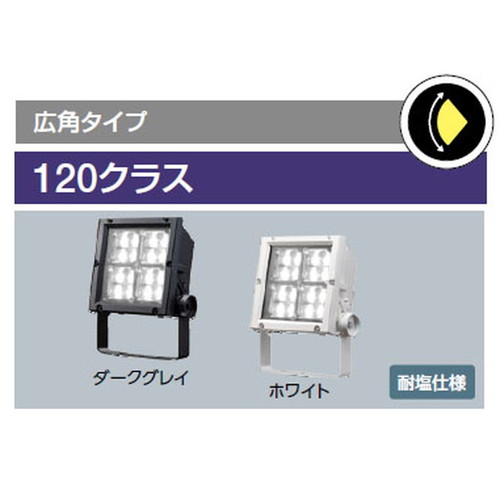 岩崎電気レディオックフラッドネオ120クラスの画像
