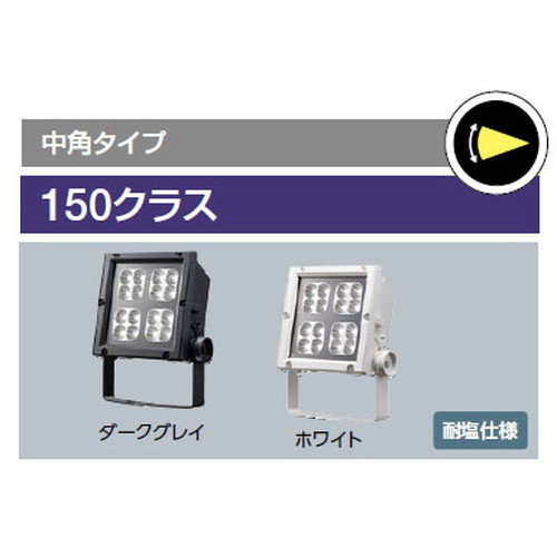 岩崎電気レディオックフラッドネオ150クラスの画像