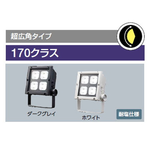 岩崎電気レディオックフラッドネオ170クラスの画像
