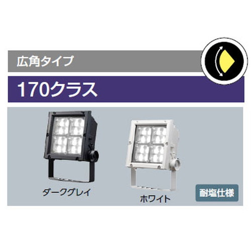 岩崎電気レディオックフラッドネオ170クラスの画像