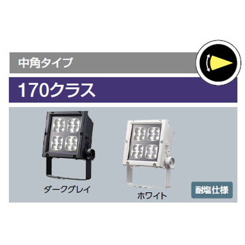 岩崎電気レディオックフラッドネオ170クラスの画像