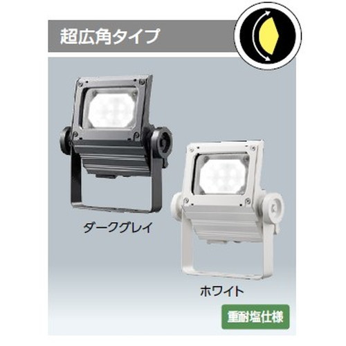 岩崎電気レディオックフラッドネオ30クラスの画像