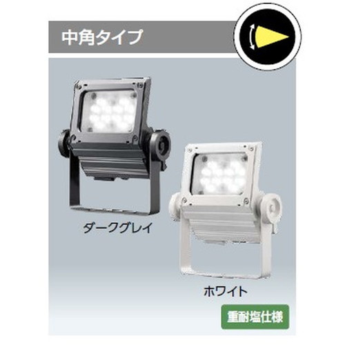 岩崎電気レディオックフラッドネオ40クラスの画像