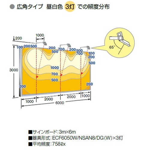 岩崎電気 ECF6050SW/NSAN8/DG (旧品番:ECF6040SW/NSAN8/DG) LED投光器