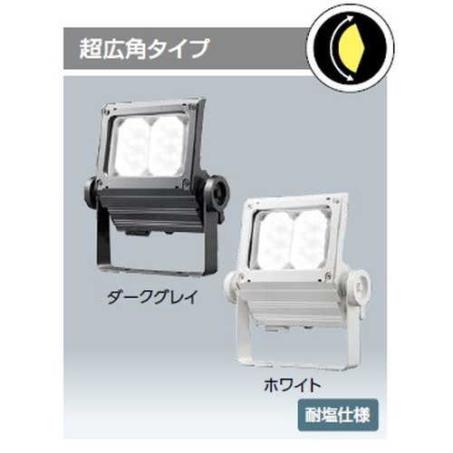 岩崎電気レディオックフラッドネオ80クラスの画像