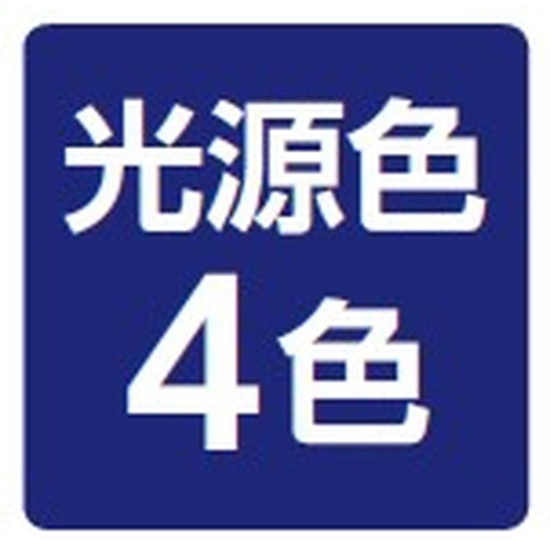 岩崎電気レディオックフラッドネオ80クラスの画像