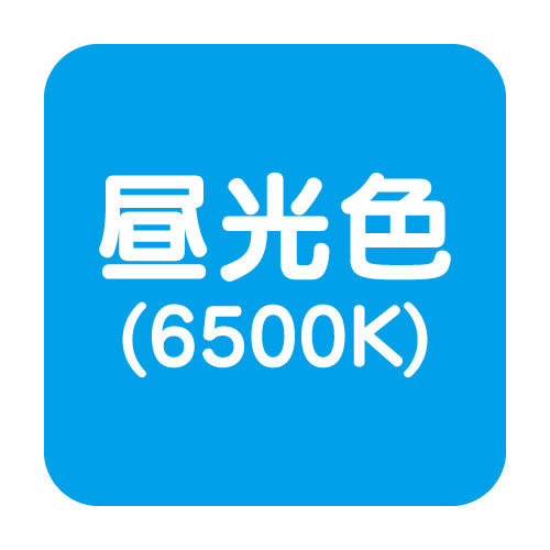 polca様‼️確認用 4580750345591_2.jpg