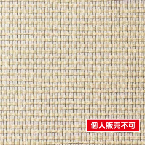 サンゲツ，クロス，エクセレクト，カゲトヒカリ，SGB2013 の商品画像