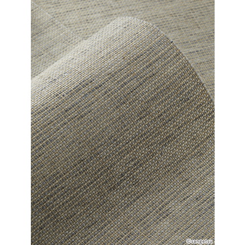 1m単位切売 サンゲツ クロス エクセレクト 織 SGM1288